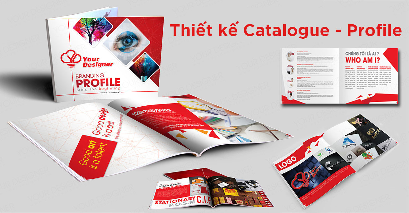 thiet-ke-catalogue-profile-chuyen-nghiep
